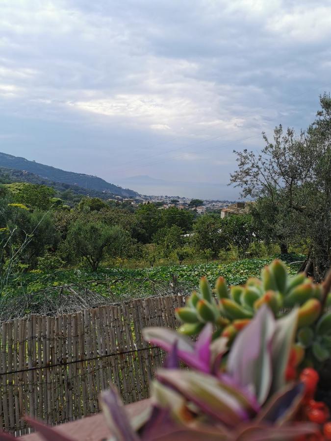 L'Angolo Di Campagna Piano di Sorrento Exterior photo
