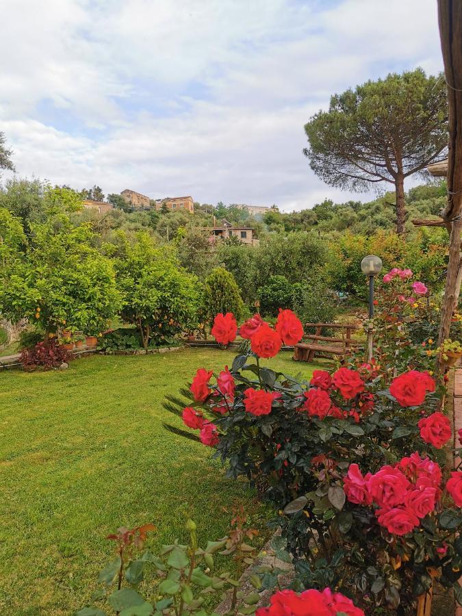 L'Angolo Di Campagna Piano di Sorrento Exterior photo